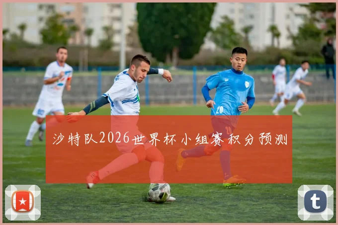 沙特队2026世界杯小组赛积分预测