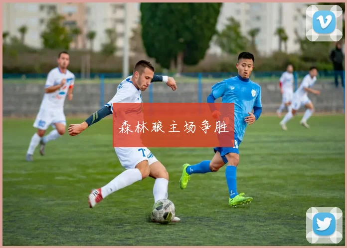 森林狼主场争胜