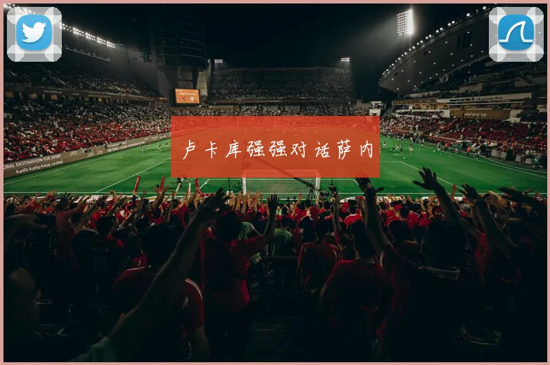 卢卡库强强对话萨内