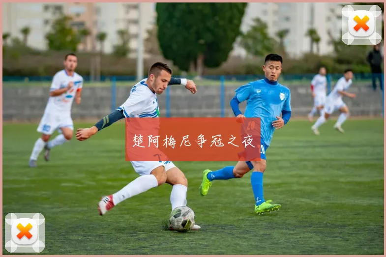 楚阿梅尼争冠之夜