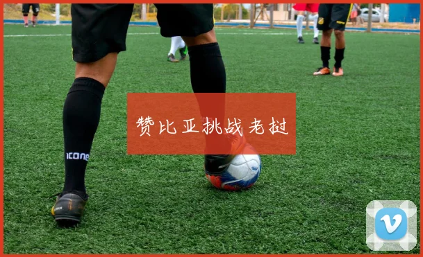 赞比亚挑战老挝