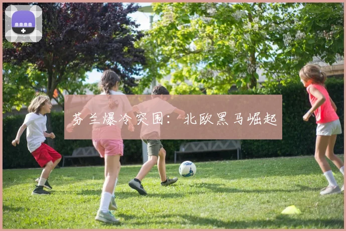 芬兰爆冷突围：北欧黑马崛起