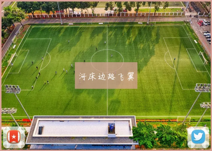 河床边路飞翼