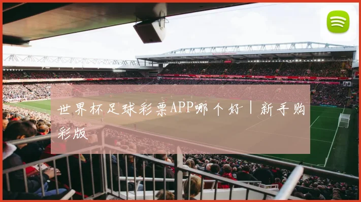世界杯足球彩票APP哪个好｜新手购彩版