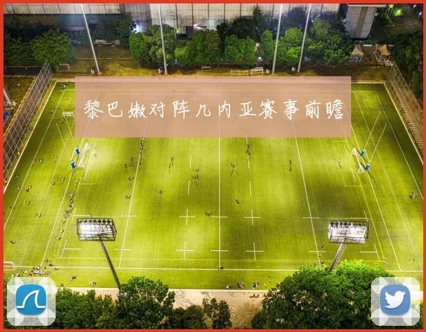 黎巴嫩对阵几内亚赛事前瞻