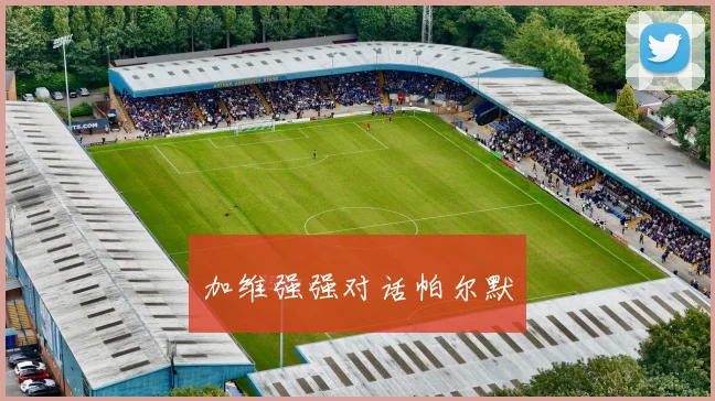 加维强强对话帕尔默