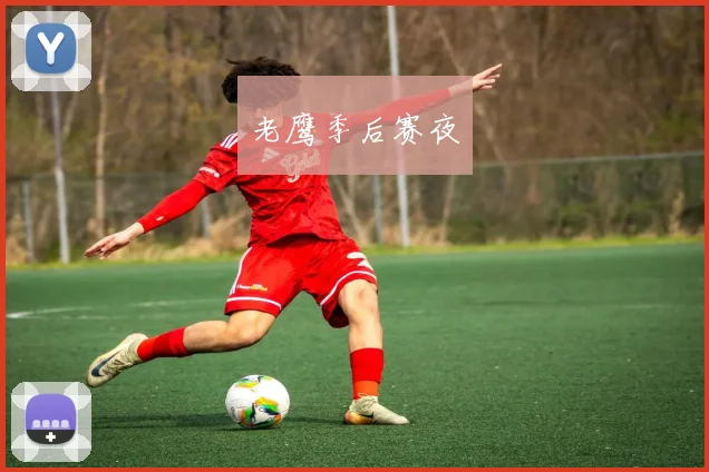 老鹰季后赛夜