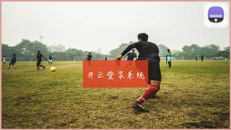开云登录系统