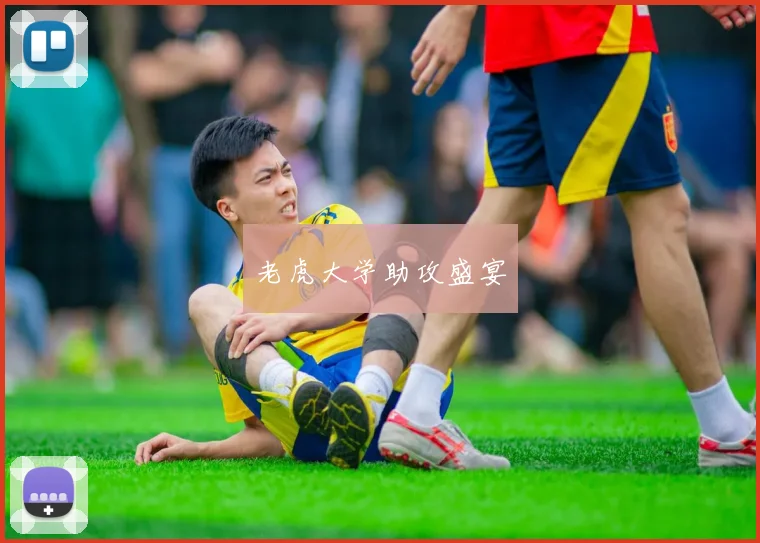 老虎大学助攻盛宴