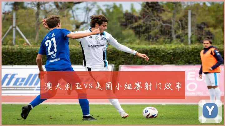 澳大利亚vs美国小组赛射门效率