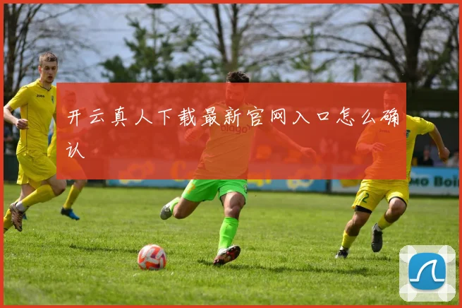 开云真人下载最新官网入口怎么确认